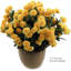 Silk Fir Arrangement-195248834