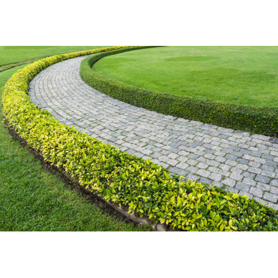 Walk Path - Wrapped Canvas Print