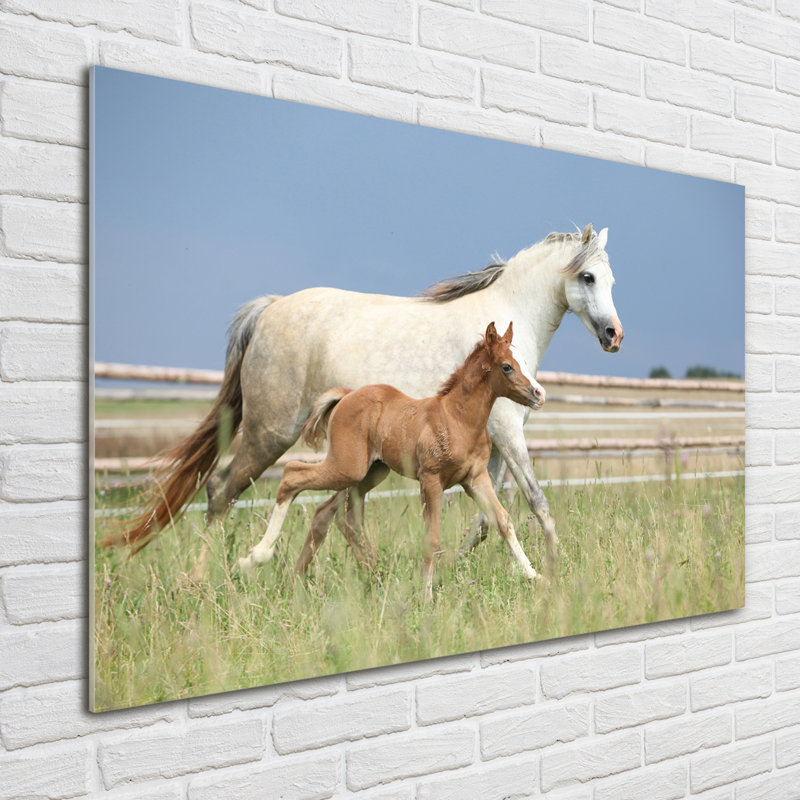 Glass Print Wall Art 100X70cm Image Printed On Glass Decorative Wall Picture Behind Toughened / Tempered Safety Real Glass For Kitchen & Living Room Theme:Mare With Foal