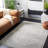 Aveon Oriental Ivory/Gray Area Rug-646403584