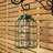 Caullin Metal Hanging