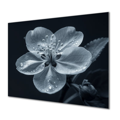 Genao - salon d'art mural en fleurs