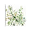 Sage Garden II by Carol Robinson - Wrapped Canvas Painting-2011197342