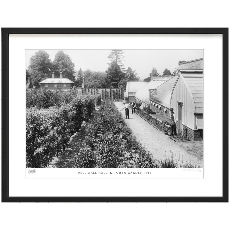 Pell Wall Hall, Kitchen Garden 1911 - Single Picture Frame Print, 60cm H x 80cm W x 2.3cm D