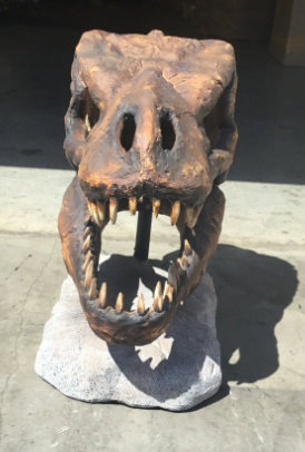 Statue crâne de dinosaure Jaiveer