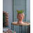 Greek Style Cement Head Planter - Indoor Outdoor Home Garden Decor