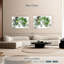 Plante grasse Harnek-107889055