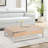 Arden Modern Coffee Table With 2 Drawers