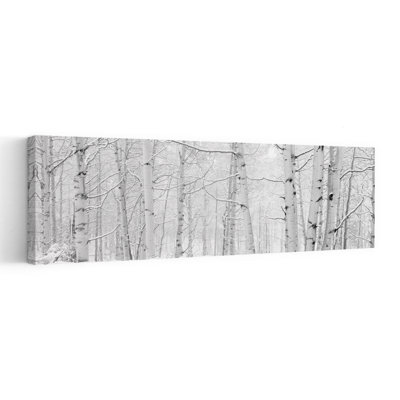 Autumn Aspens With Snow Colorado USA by Terry Eggers - Wrapped Canvas Panoramic Print