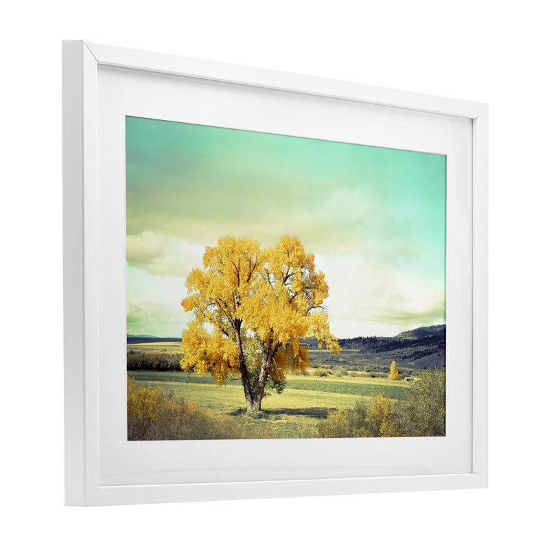 «First To Turn Tree», reproduction sous verre encadrée, conception par Annie Bailey Art, H 14 po x l 20 po