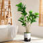 Arbre artificiel en pot moderne Ficus Lyrata-97704305-138916974