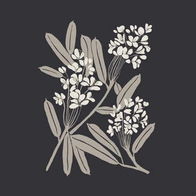 Boho Botanica - impression sur toile tendue
