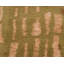 Prati Abstract Area Rug in Gold/Green-10214139