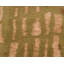 Prati Abstract Area Rug in Gold/Green-10214141