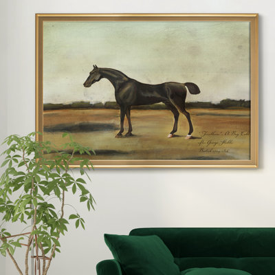 Trentham, A Bay Colt - Matted and Framed Under Acrylic Glass, Large Living Room Wall Art