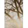 Baum - No Frame Painting on Canvas