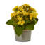 Arrangement floral artificiel en pot kalanchoe