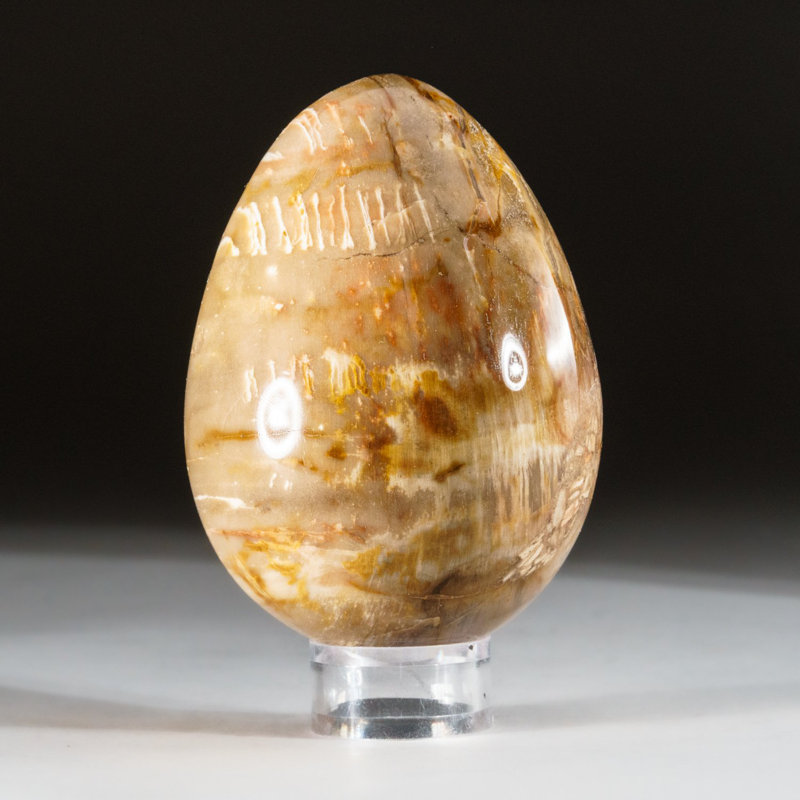 Petrified Wood Egg, Yellow/Brown, 3" H x 2" W x 2" D