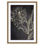 Clarendon Golden Flower Folklore II par Asia Jensen - cadre photo-59865398-119728480