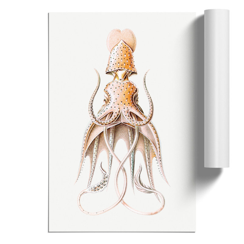 Vintage Squid by Ernst Haeckel - Frameless Print, 59cm H x 42cm W x 0.1cm D