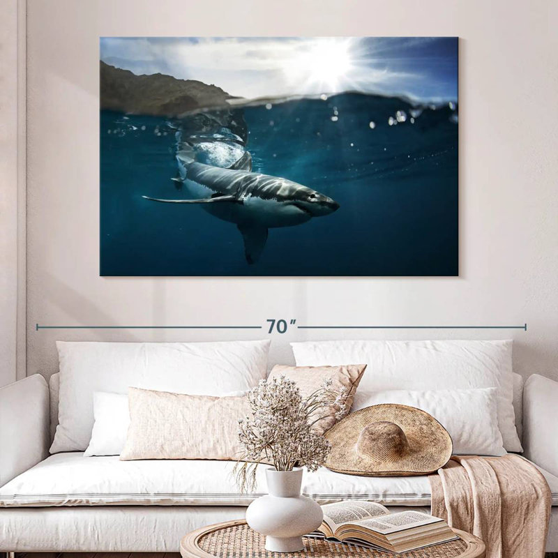 Brampt Shark Sunshine, 34" H x 51" W