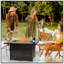 Table de foyer d'extérieur au gaz propane 50 000 BTU avec foyer avec couvercle en verre et base en osier de protection contre le vent pour le jardin, le patio, la cour arrière, 44 po