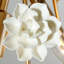 Lustre Flora 3 lumières Modern Glam