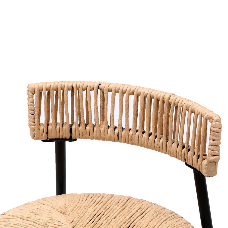 Modern Elegant Barstools (Set of 2), Brown