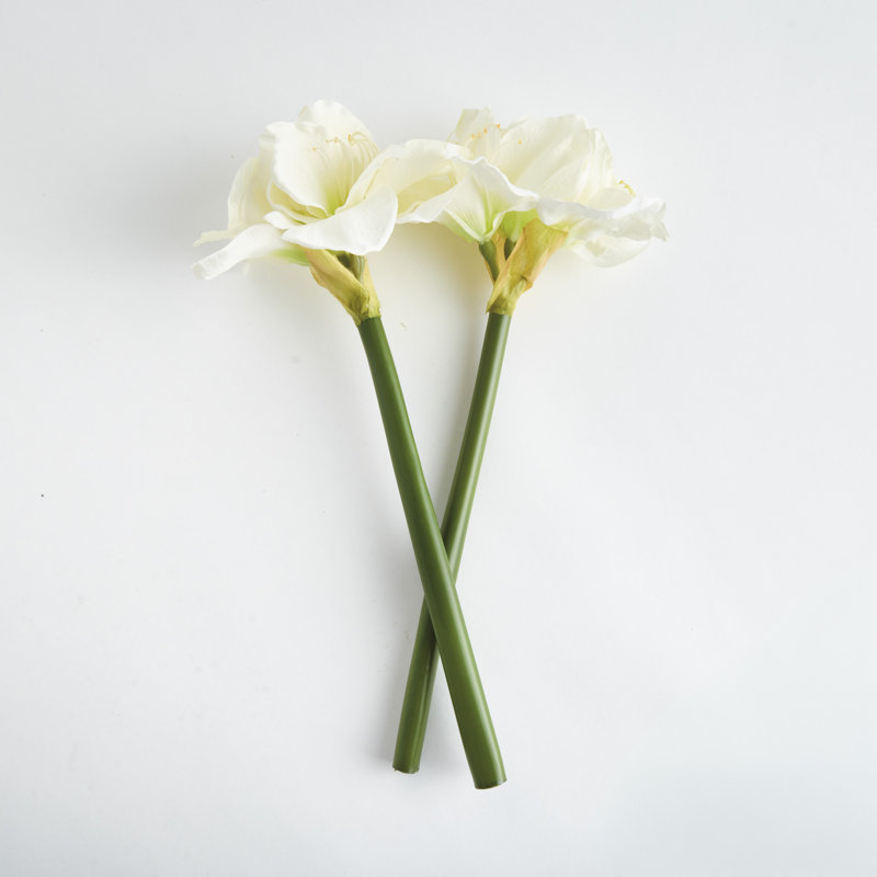 Barreto AMARYLLIS STEMS Set of 2, White