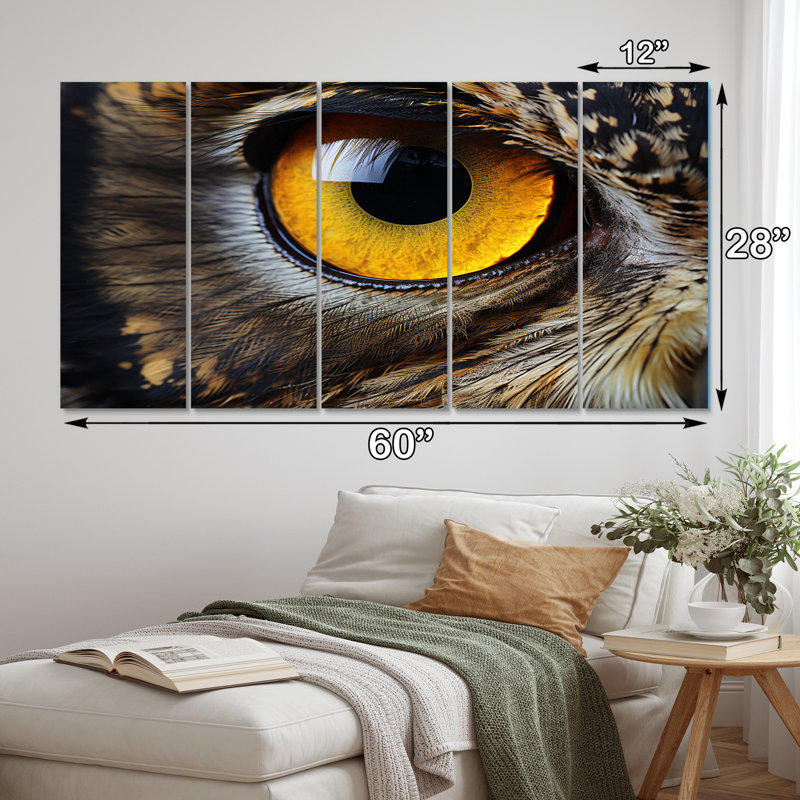 Gros plan sur une photographie de la faune de la chouette brune - Reproduction sur toile animaux - 5 panneaux égaux