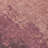 Machine Washable Indoor/Outdoor Xhevrie Coral Rug-972704155