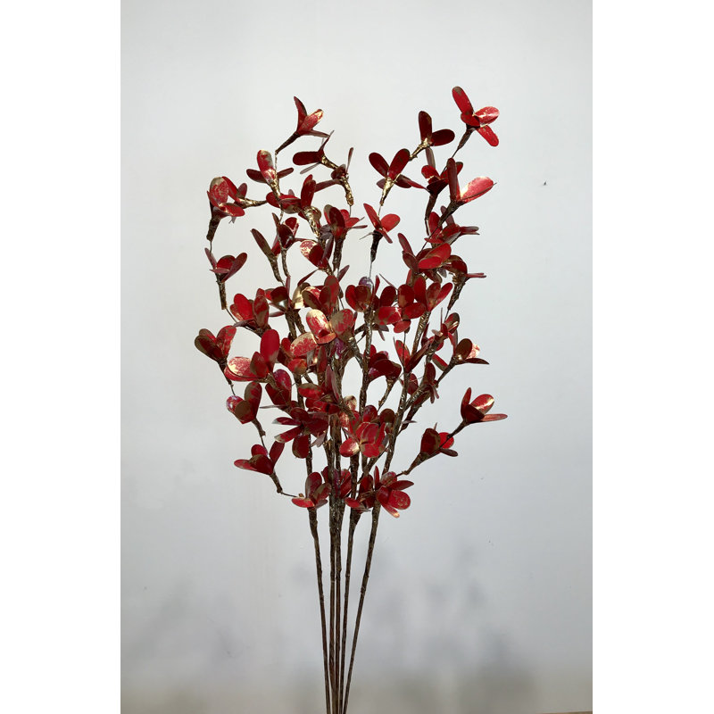 Tige de lys durable, Canneberge