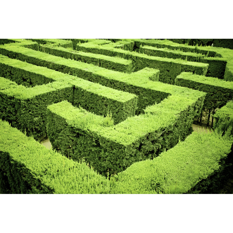 Labyrinth par Orbon Alja, H 32 po x l 48 po