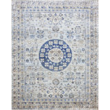 Oriental Area Rug in Light Blue/Blue/Gray
