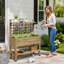 Potager surélevé mobile en bois avec treillis et rangement à plusieurs niveaux pour herbes aromatiques, légumes et fleurs-957200747
