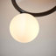 Haslett Glass Spotlight