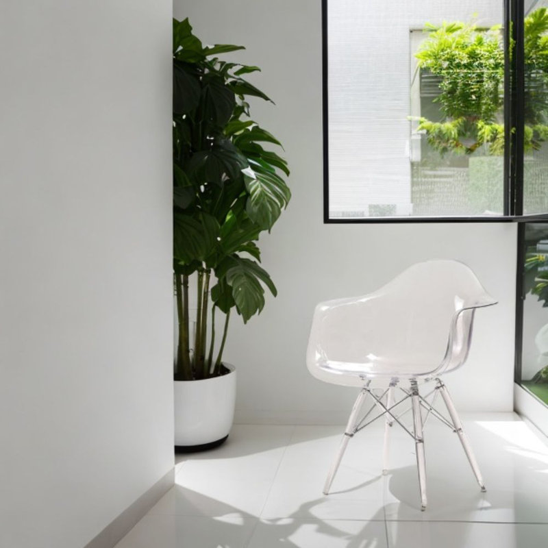 Fauteuil baquet transparent