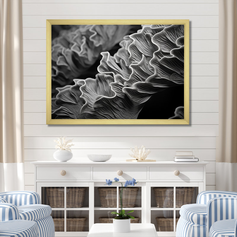Impression sur toile «Black and White Coral Anemone», plage et océan, Cadre photo doré simple, H 34 po x l 44 po x P 1,5 po