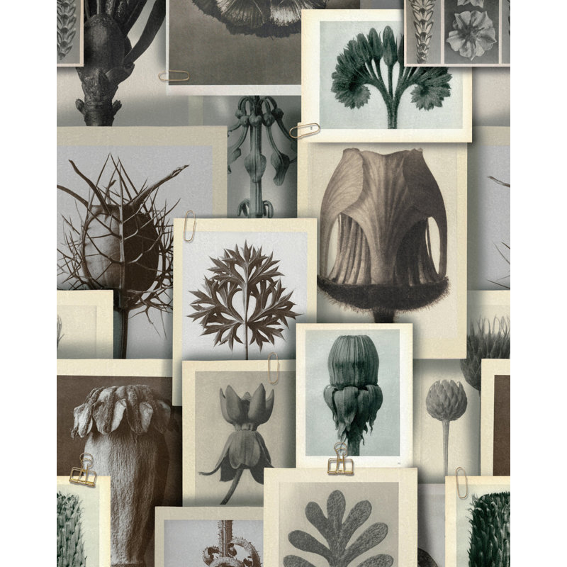 The Artists House Wallpaper Roll