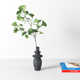 Fitzpatrick Ceramic Table Vase