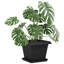 Plant Stand-44664427-44664426