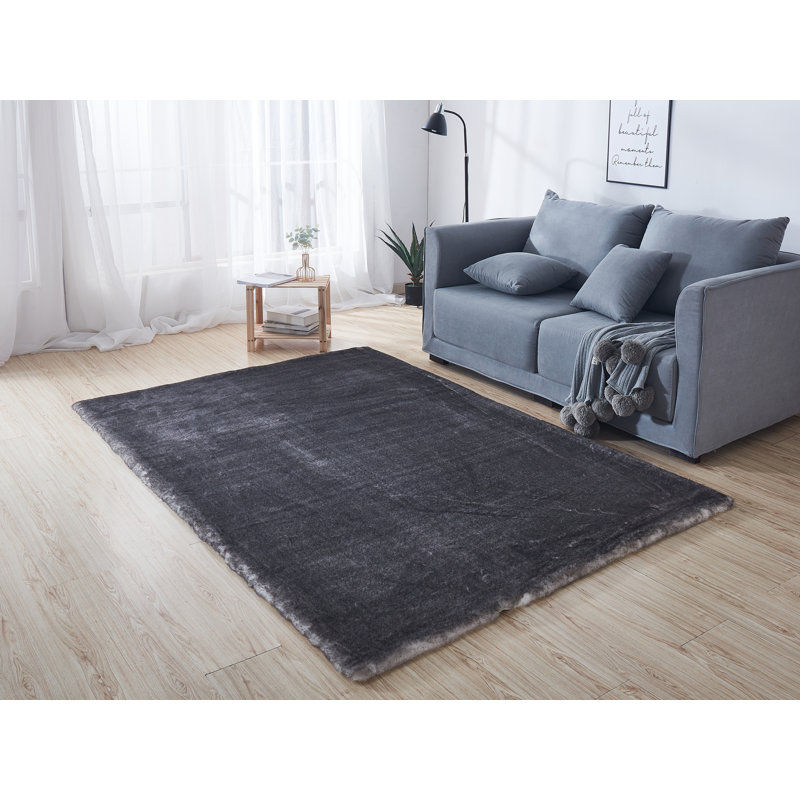 Tapis gris à poils longs Avants