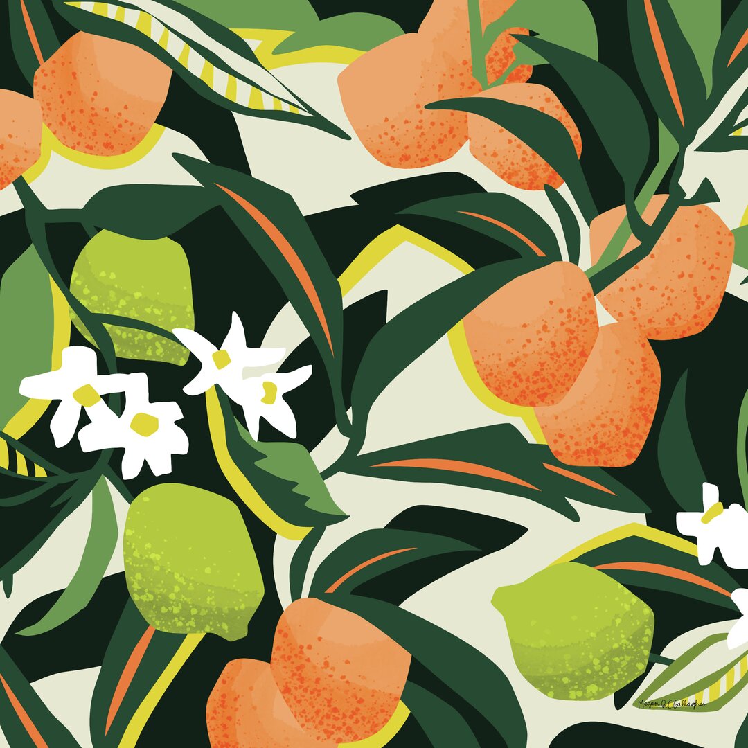 Leinwandbild Sweet Orange Lime von Megan Gallagher