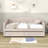 Torkelson Twin Size Velvet Upholstered Daybed with Two Drawers and Slats-14610153