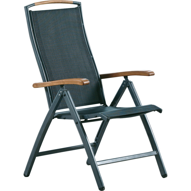 Billerica Patio Dining Armchair with Cushion, Graphite