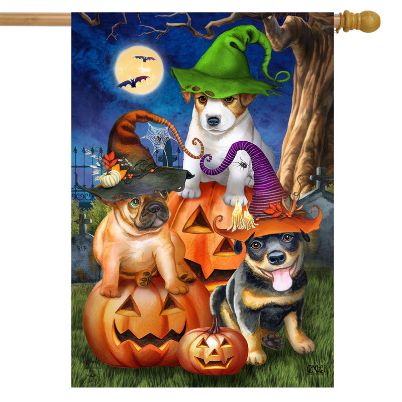 Drapeau de la maison Spooky Pups, Orange / Noir / Vert