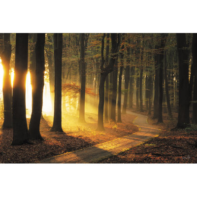 «Peeking Sun» par Martin Podt - reproduction d'art sur toile tendue