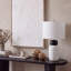 Lampe de table 25 po Dorgan