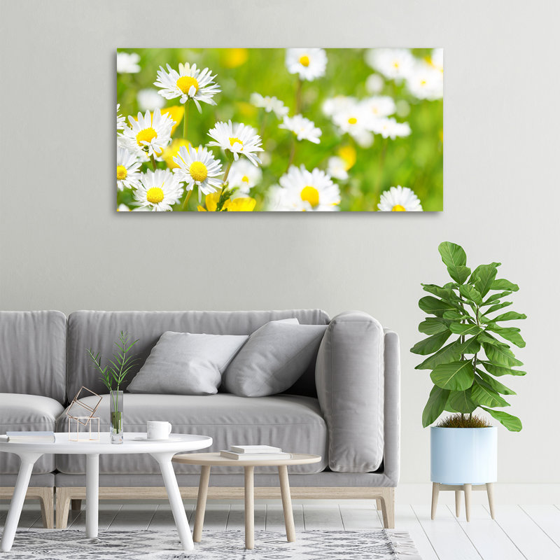 Daisies - Wrapped Canvas Print