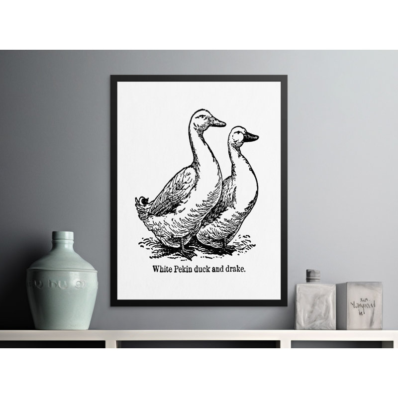 Comeau Single Picture Frame Print, 30.48 cm H x 20.32 cm W